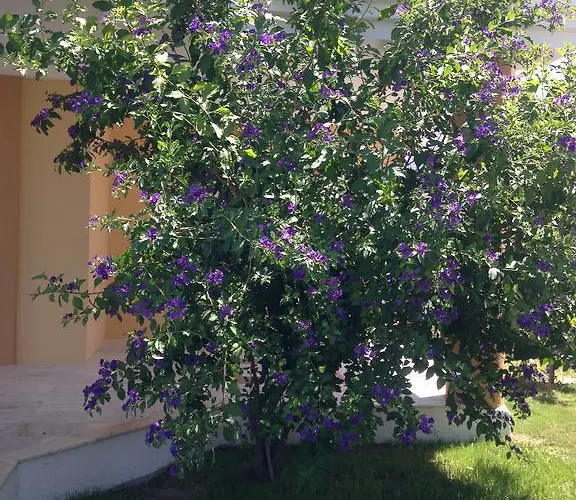 Gerence Butik Отель типа 