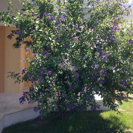 Gerence Butik 住宿加早餐酒店 *