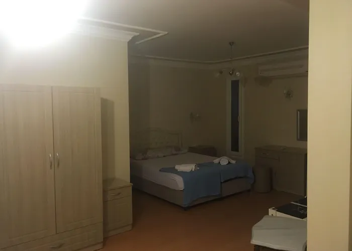 住宿加早餐酒店 Gerence Butik 阿拉恰特